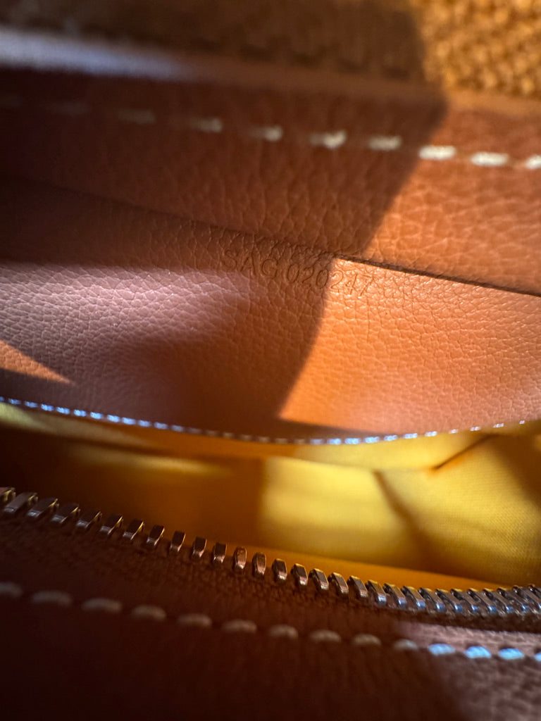 Goyard Hirondelle Shoulder Bag in Brown (10 x 6.5 x 2.5 in)